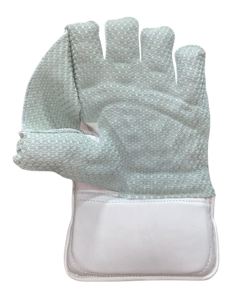 8 Gray-Nicolls White Wicket Keeping Gloves – Premium Cricket Keeping Gloves